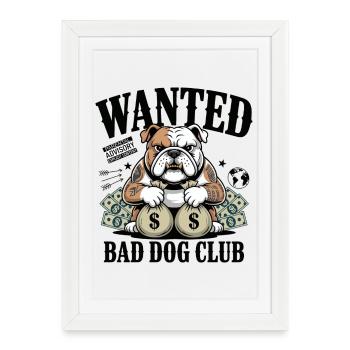 Bulldog Hustle : Club des chiens méchants - Affiche encadrée (27 × 37 cm) - blanc - Devant