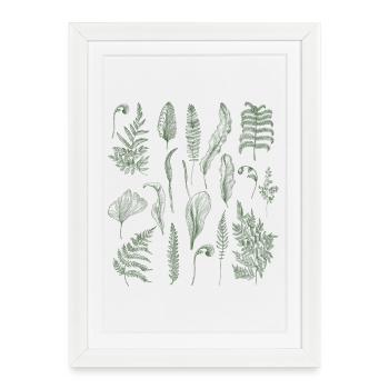  Vintage Fern Cottagecore - Framed poster (27 × 37 cm) - white - Front