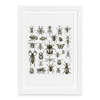 Insect Lover, Bug Enthusiast - Framed poster (27 × 37 cm) - white - Front