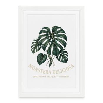 Dark Monstera Deliciosa - Vintage Night Botanica - Affiche encadrée (27 × 37 cm) - blanc - Devant