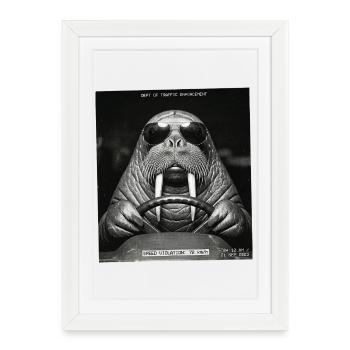 Photo de la caméra de vitesse Walrus - Affiche encadrée (27 × 37 cm) - blanc - Devant