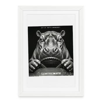 Radar Hippopotamus Radar Radar Radar Radar Caméras - Affiche encadrée (27 × 37 cm) - blanc - Devant