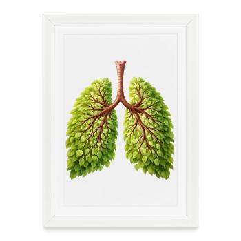 Conception de l’arbre naturel Lung - Affiche encadrée (27 × 37 cm) - blanc - Devant