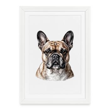 Portrait Bouledogue Français Chic - Affiche encadrée (27 × 37 cm) - blanc - Devant