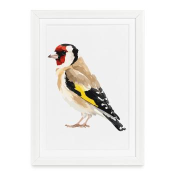 Art géométrique des oiseaux chardonnerets - Affiche encadrée (27 × 37 cm) - blanc - Devant