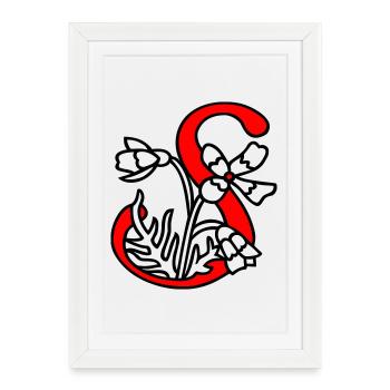 Lettre S - Affiche encadrée (27 × 37 cm) - blanc - Devant