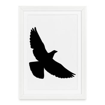 pigeon - Affiche encadrée (27 × 37 cm) - blanc - Devant