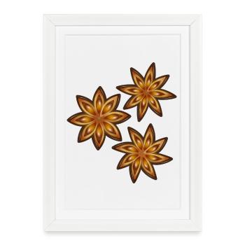 Trois anis étoilé brillant - épice et plante médicinale - Affiche encadrée (27 × 37 cm) - blanc - Devant