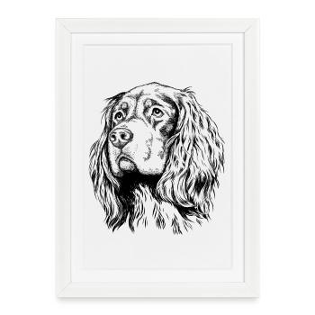 Gordon Setter Portrait - Affiche encadrée (27 × 37 cm) - blanc - Devant