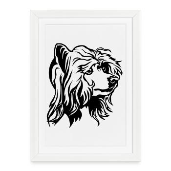 Chinese Crested Dog Head - Framed poster (27 × 37 cm) - white - Front