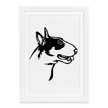 Bull Terrier Head - Framed poster (27 × 37 cm) - white - Front