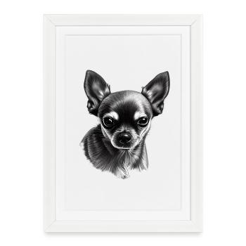 Chihuahua à poil court - Affiche encadrée (27 × 37 cm) - blanc - Devant