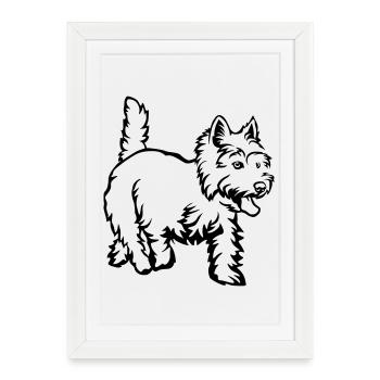 West Highland Terrier - Affiche encadrée (27 × 37 cm) - blanc - Devant