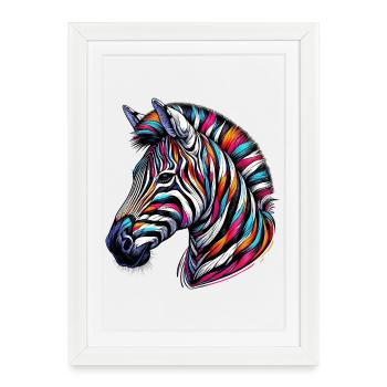 Zèbre - Affiche encadrée (27 × 37 cm) - blanc - Devant