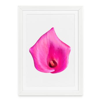 Pink Calla Blossom - Framed poster (27 × 37 cm) - white - Front