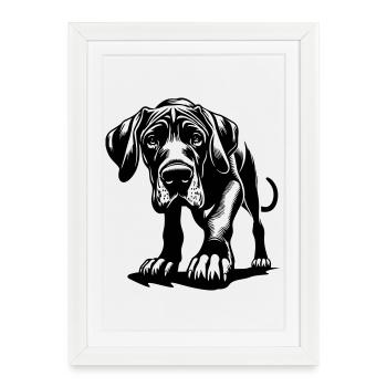 Dogue allemand - Affiche encadrée (27 × 37 cm) - blanc - Devant