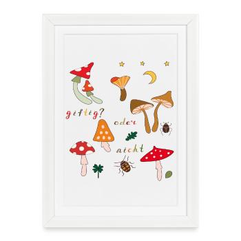Mycètes - Affiche encadrée (27 × 37 cm) - blanc - Devant