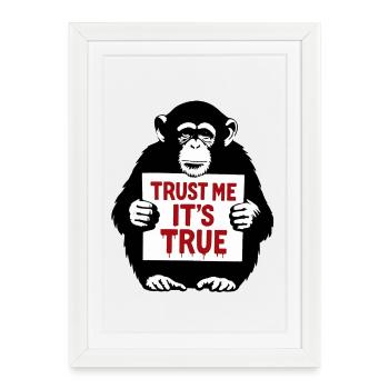 Singe avec bouclier Fais-moi confiance C’est vrai - Affiche encadrée (27 × 37 cm) - blanc - Devant