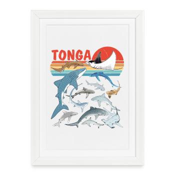 Espèces de requins tonga Requin tigre Requins taureaux raies mantas - Affiche encadrée (27 × 37 cm) - blanc - Devant