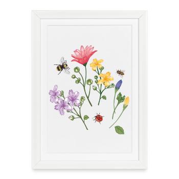 Prairie fleurie - Affiche encadrée (27 × 37 cm) - blanc - Devant