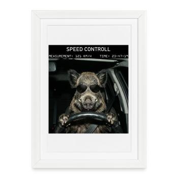 Contrôle de la vitesse du sanglier sauvage - Affiche encadrée (27 × 37 cm) - blanc - Devant
