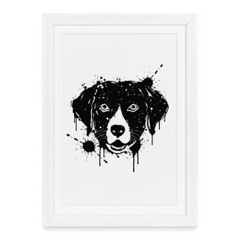 Tête de Chien Labrador Paint Splash Noir - Affiche encadrée (27 × 37 cm) - blanc - Devant