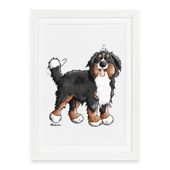 Happy Bernese Mountain Dog - Framed poster (27 × 37 cm) - white - Front