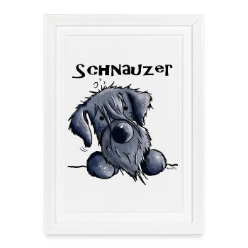 Sweet Schnauzer - Affiche encadrée (27 × 37 cm) - blanc - Devant