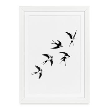 Oiseaux hirondelles  - Affiche encadrée (27 × 37 cm) - blanc - Devant