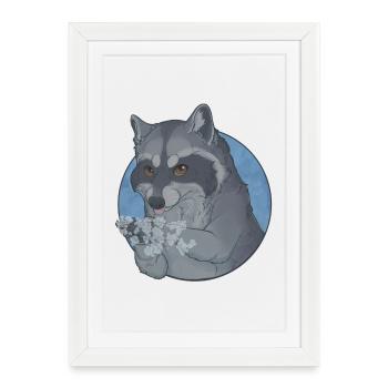 Raton Laveur - On se lave les pattes ! - Affiche encadrée (27 × 37 cm) - blanc - Devant