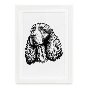 Springer Spaniel Portrait black - Framed poster (27 × 37 cm) - white - Front