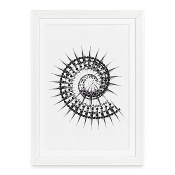 Escargot en forme de coquille en noir et blanc - Affiche encadrée (27 × 37 cm) - blanc - Devant