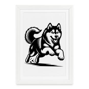 Siberian Husky - Framed poster (27 × 37 cm) - white - Front