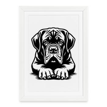 Tête de Dogue de Bordeaux avec pattes - Affiche encadrée (27 × 37 cm) - blanc - Devant