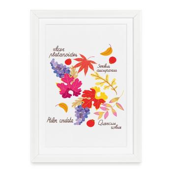 Autumn leaves and grapes - Framed poster (27 × 37 cm) - white - Front