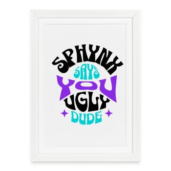Sphynx Cat Drôle - Affiche encadrée (27 × 37 cm) - blanc - Devant