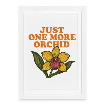 Encore une orchidée - Affiche encadrée (27 × 37 cm) - blanc - Devant