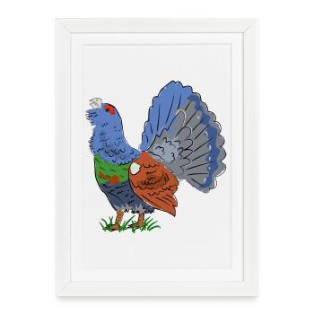 Fabulous capercaillie in a blaze of colour - Framed poster (27 × 37 cm) - white - Front