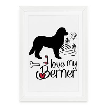 Bernersennehund - Affiche encadrée (27 × 37 cm) - blanc - Devant