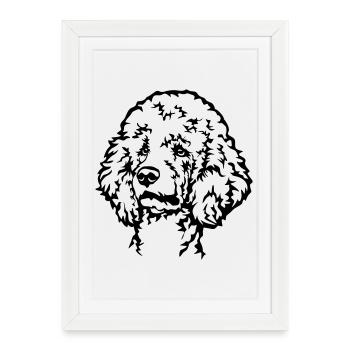 Tête de puiche - Affiche encadrée (27 × 37 cm) - blanc - Devant