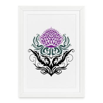 Chardon pourpre Chardon - Affiche encadrée (27 × 37 cm) - blanc - Devant