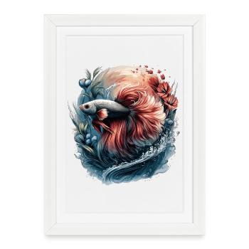 Betta Splendens, Aquarium de poissons Betta, Bettafan - Affiche encadrée (27 × 37 cm) - blanc - Devant