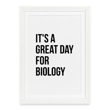 Biologie Biologie Biologie - Affiche encadrée (27 × 37 cm) - blanc - Devant