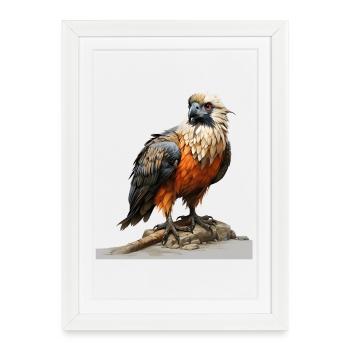 Aigle coloré assis - Affiche encadrée (27 × 37 cm) - blanc - Devant