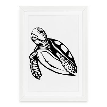 Turtle Turtles - Framed poster (27 × 37 cm) - white - Front