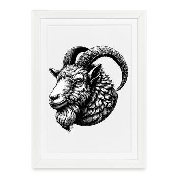 Visage de chèvre Portrait de chèvre - Affiche encadrée (27 × 37 cm) - blanc - Devant