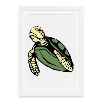 Turtle Turtles - Framed poster (27 × 37 cm) - white - Front