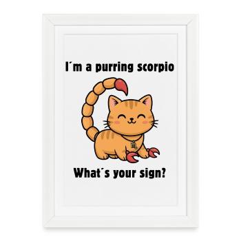 Zodiac sign Scorpio Cat – Cute Scorpio Cat - Framed poster (27 × 37 cm) - white - Front