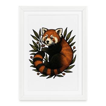 Panda rouge dans le feuillage - Affiche encadrée (27 × 37 cm) - blanc - Devant