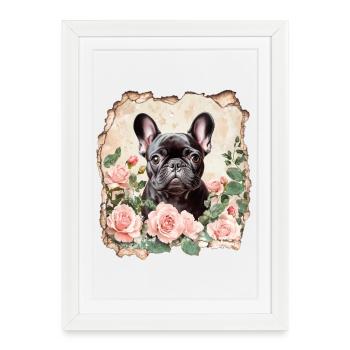 Bouledogue français - Affiche encadrée (27 × 37 cm) - blanc - Devant